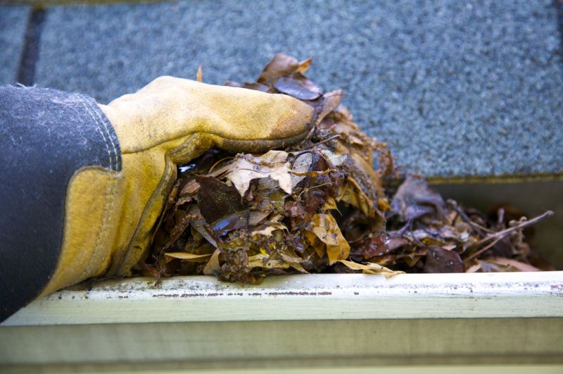 Rain Gutter Clearing in Rochester, NY